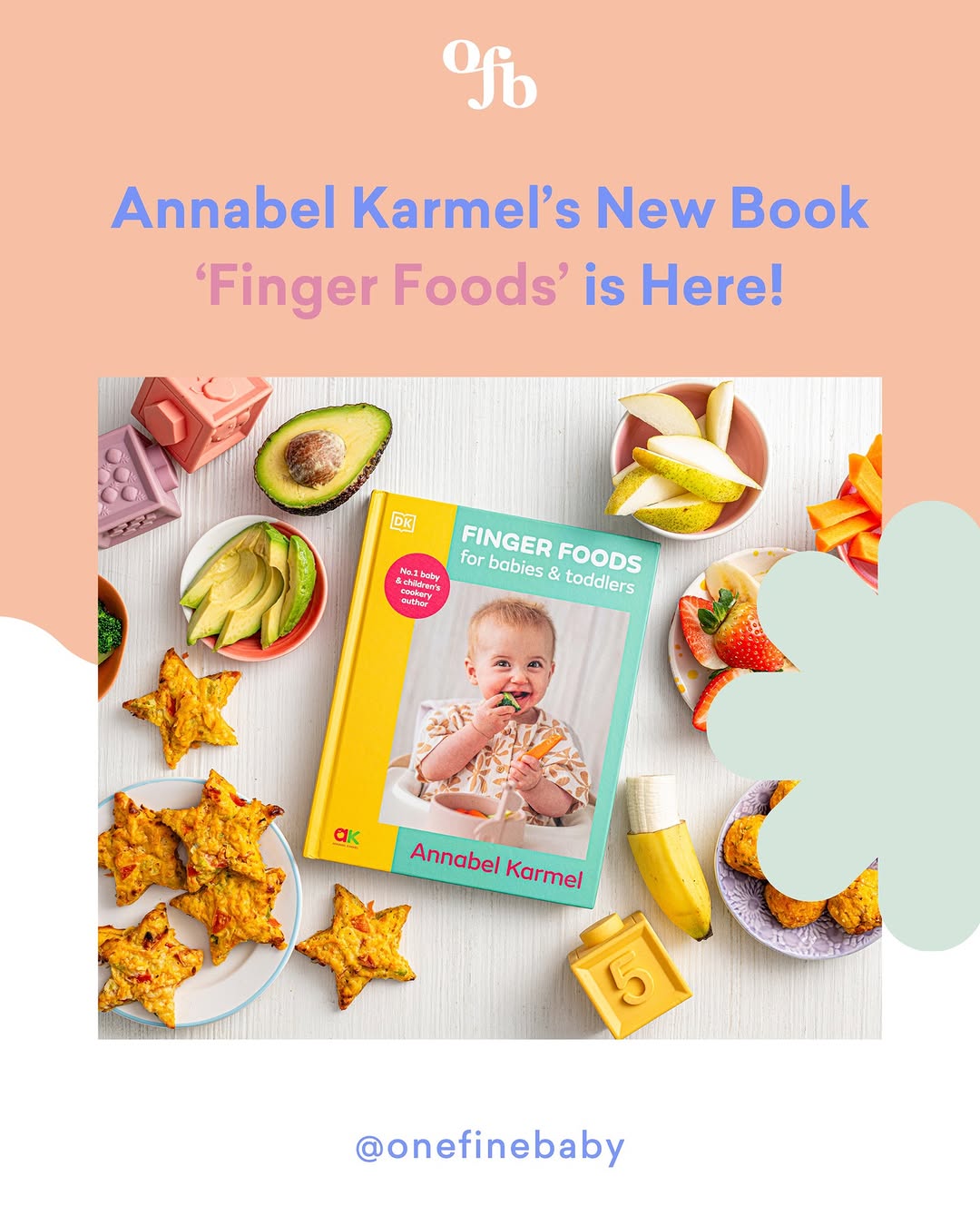 Toddler Recipe Book